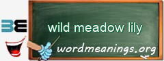 WordMeaning blackboard for wild meadow lily